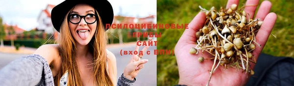 соль ск Киреевск