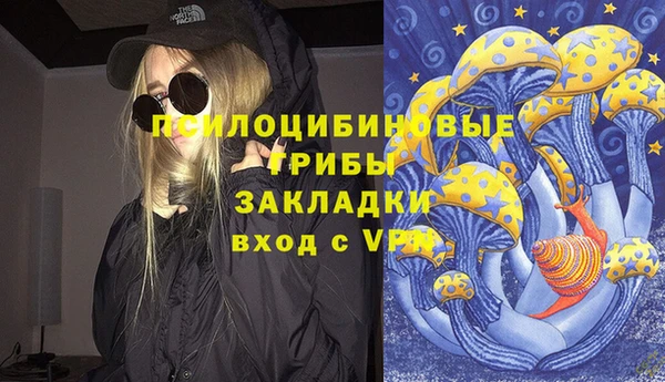 соль ск Киреевск